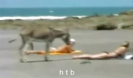زیبایی روسی به دانش آموز اجازه داد خودش را گروه صکصی تلگرام در الاغ لگد بزند